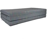 FORTISLINE Klappmatratze 195x120x8cm, 3-teilige Faltmatratze, H2 Gästematratze, Camping Faltbare Kamping Bett, Waschbar Bezug, Erwachsene Klappbar, Reisematratze Schaumstoff Matratze (VW T4-Motiv)