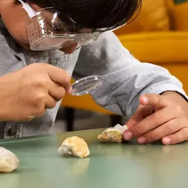 Simba Scout Geoden-Mineralienset – 2-teilig