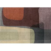 Wash+Dry Arcadia 170 x 240 cm Bunt