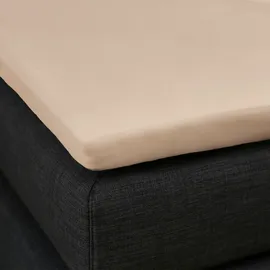 Formesse Bella Gracia Jersey 160 x 190 - 160 x 200 cm champignon