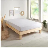 Traumschlaf Spannbettlaken Baumwolle-Jersey 70 x 140 cm weiß