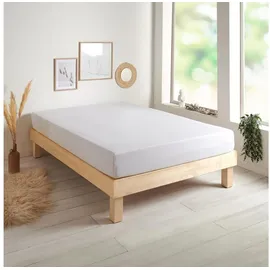 Traumschlaf Spannbettlaken Baumwolle-Jersey 70 x 140 cm weiß
