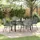 vidaXL Garten Essgruppe 5-tlg. Grau