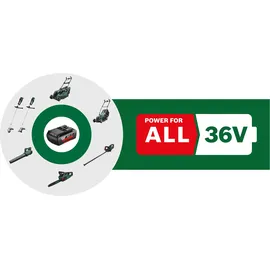 Bosch AdvancedGrassCut 36 inkl. 1 x 2 Ah