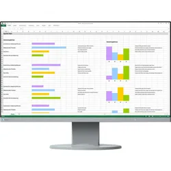 EIZO FlexScan EV2450-GY - LED-Monitor - 60 cm (23.8")