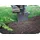 Bradas Rasenkante Beeteinfassung BORDER 600 x 15 cm grau
