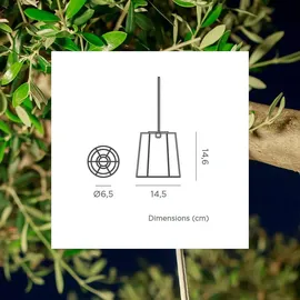 NEW GARDEN Conta Mini 1-flg. mit Wiederaufladbarer Glühbirne 10 cm Grün