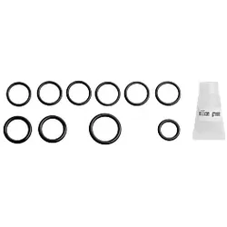 Wolf Set O-Ringe 2074711