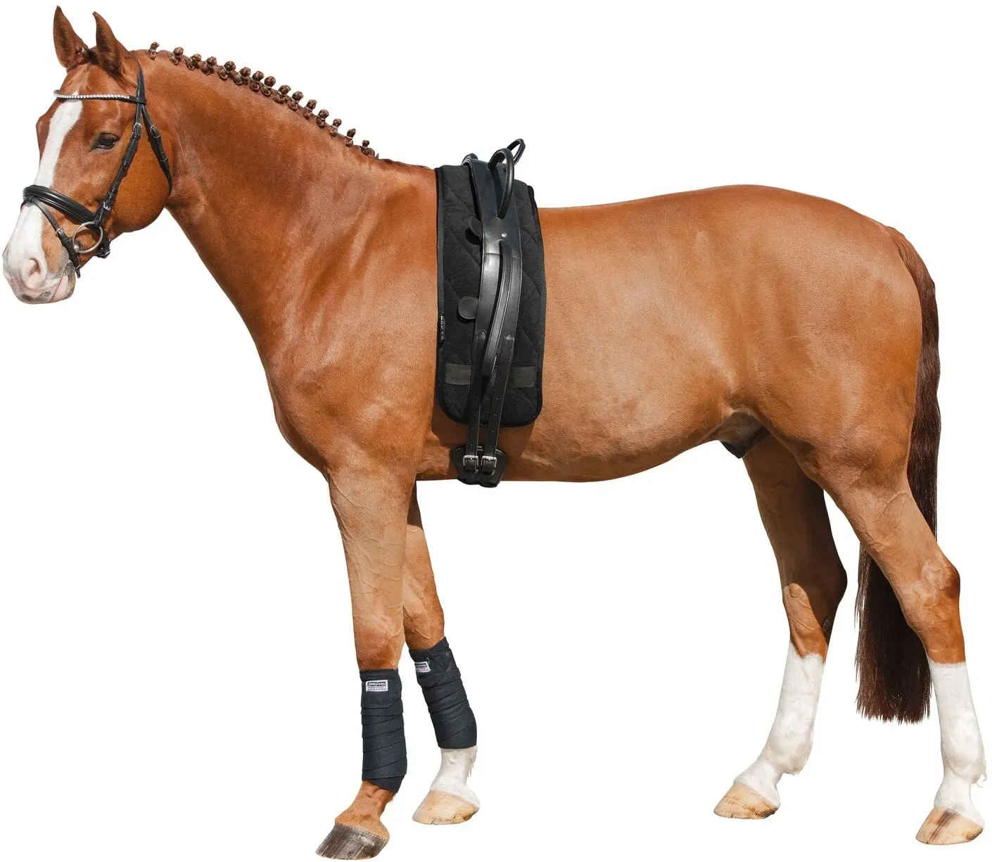 Loesdau Longiergurt mit Griffen schwarz Pony