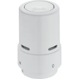 Danfoss RAX Heizkörperthermostat mechanisch 8 bis 28 °C
