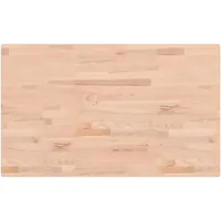 vidaXL Tischplatte 100x60x2,5 cm