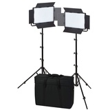 Nanlite Fresnel-Vorsatz FL11