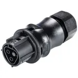 Wieland 96.021.4053.1 Rundstecker Kupplung, gerade Serie (Rundsteckverbinder): RST® CLASSIC Gesamtp