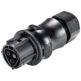 Wieland 96.021.4053.1 Rundstecker Kupplung, gerade Serie (Rundsteckverbinder): RST® CLASSIC Gesamtp