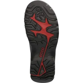 ECCO Offroad M Dunkelbraun 44 EU
