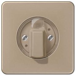 Jung Abdeckung für Jalousie-Drehschalter (gold-bronze)