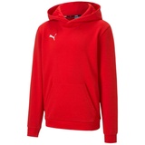 Puma Unisex Kinder Teamgoal 23 afslappet als hættetrøje Jr Hoodie, Puma Red, 116 EU