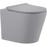 Sanicomfort Nakia Wand-WC mit WC-Sitz Hellgrau