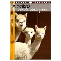 Calvendo Alpakas zum Knuddeln gerne (Wandkalender 2026 DIN A4