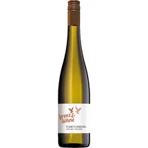 Lorenz & Söhne Punktlandung Riesling trocken 2024 0,75 l
