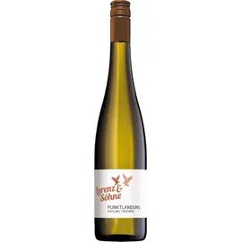 Lorenz & Söhne Punktlandung Riesling trocken 2024 0,75 l