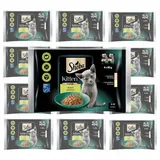 Sheba Kitten Nassfutter Lachs und Huhn 20 Beutel à 85 g
