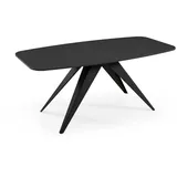 Feldmann-Wohnen Ferro 160 x 80 x 76 cm schwarz