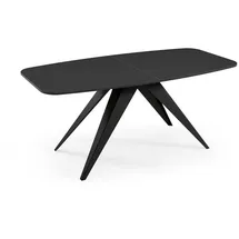 Feldmann-Wohnen Ferro 160 x 80 x 76 cm schwarz