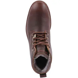 Panama Jack Glasgow Igloo C6 Boots chestnut