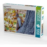 Calvendo Cooles Eichhörnchen (Puzzle)