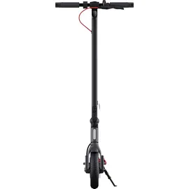 5thwheel E-Scooter 5th Wheel V30 Pro 350W 10 Zoll App Blinker Federung