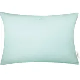 Tom Tailor Dekokissen TOM TAILOR HOME "Dove Signature" Gr. 1, grün (hellgrün, jade, unifarben), B:60cm H:0,5cm L:40cm, Baumwolle, Polyester, Dekokissen_Sitzkissen_Kissenhüllen, mit Paspel, Kissenhülle ohne Füllung, 1 Stück