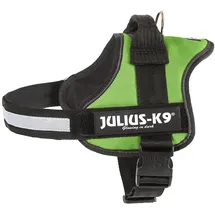 Julius-K9 K9 Powergeschirr, Größe: M/0, Kiwi