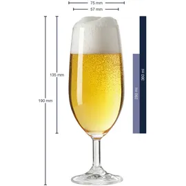 LEONARDO Bierglas Daily 0,36 l 6-tlg.