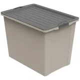 Rotho Compact 57 x 43,5 x 39,5 cm 1-tlg. cappuccino/anthrazit