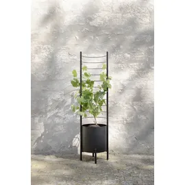 eva solo Simply Grow Spalier für Übertopf