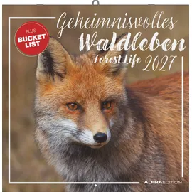 ALPHA EDITION GmbH & Co. KG Geheimnisvolles Waldleben Wandkalender 2027 30x30 cm