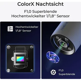 Reolink P320X