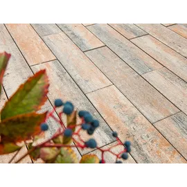 Diephaus Terrassenplatte Langas Muschelkalk 80 x 20 x 6 cm PE3