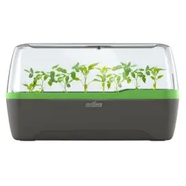 ROMBERG BoQube L Plus Mini Gewächshaus 41 x 17 x 23 cm