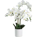 eglo living Kunstpflanze Hyuga, künstliche Zimmerpflanze im Topf, naturgetreue Deko Pflanze für Wohnzimmer, Orchidee aus Kunststoff in Weiß,