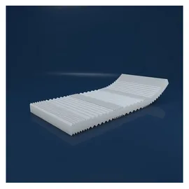 MSS e.K. VitalFoam Wellness 130 x 200 cm H2
