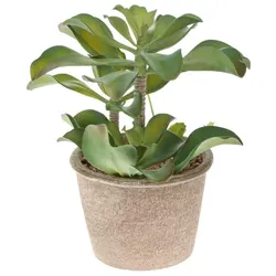 Kunstpflanze Sukkulente 25 cm Kunststoff Grün M (Medium)