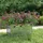 vidaXL Garten-Hochbeet verzinkter Stahl rechteckig 100 x 40 x 45 cm Silber