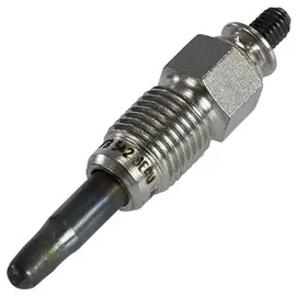 BorgWarner (Beru) (BERU) Glühkerze