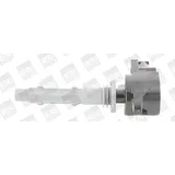 BorgWarner (Beru) Beru Zündspule