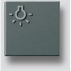 SIEDLE Licht-Taste dgr-Glim 200029980-00