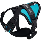 Julius-K9 Longwalk Light Halsband Aquamarine S