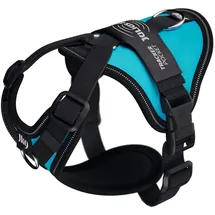 Julius-K9 Longwalk Light Halsband Aquamarine S