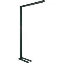 Maul MAULsirius Stehlampe schwarz